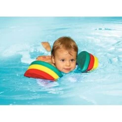 Delphin Schwimmscheibe -WasserWelt Verkäufe 113 4504 0609