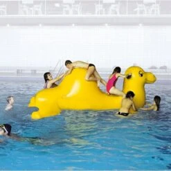 Airkraft Eventmodul "Kamel Nelly"